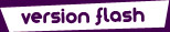 version flash